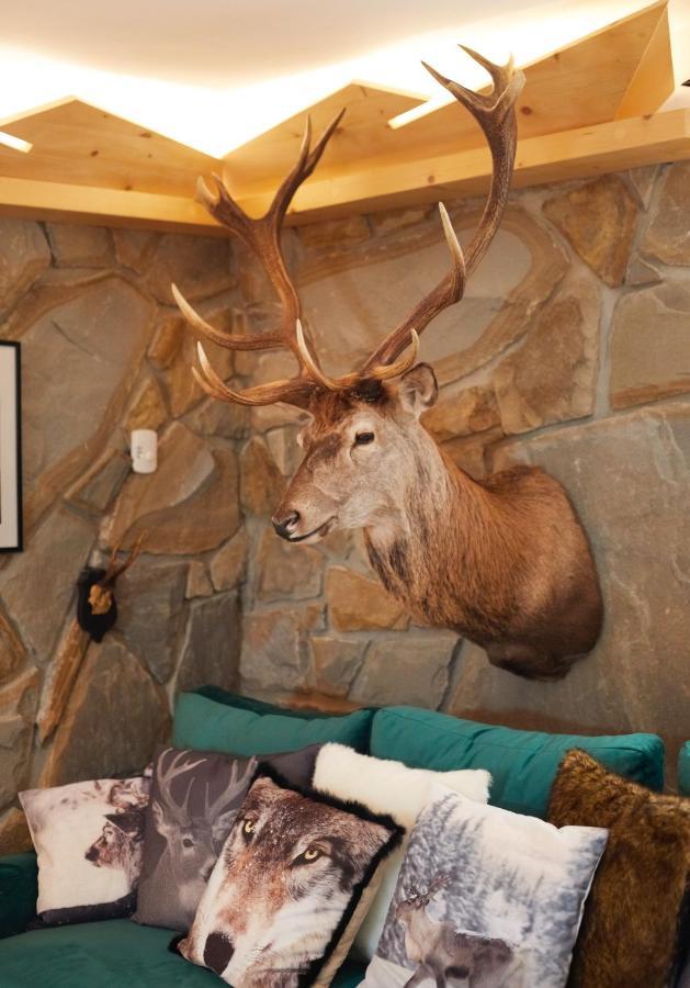 Witkowka Wild Luxury Apartments - Sauna & Spa X Adults Only Витув Экстерьер фото